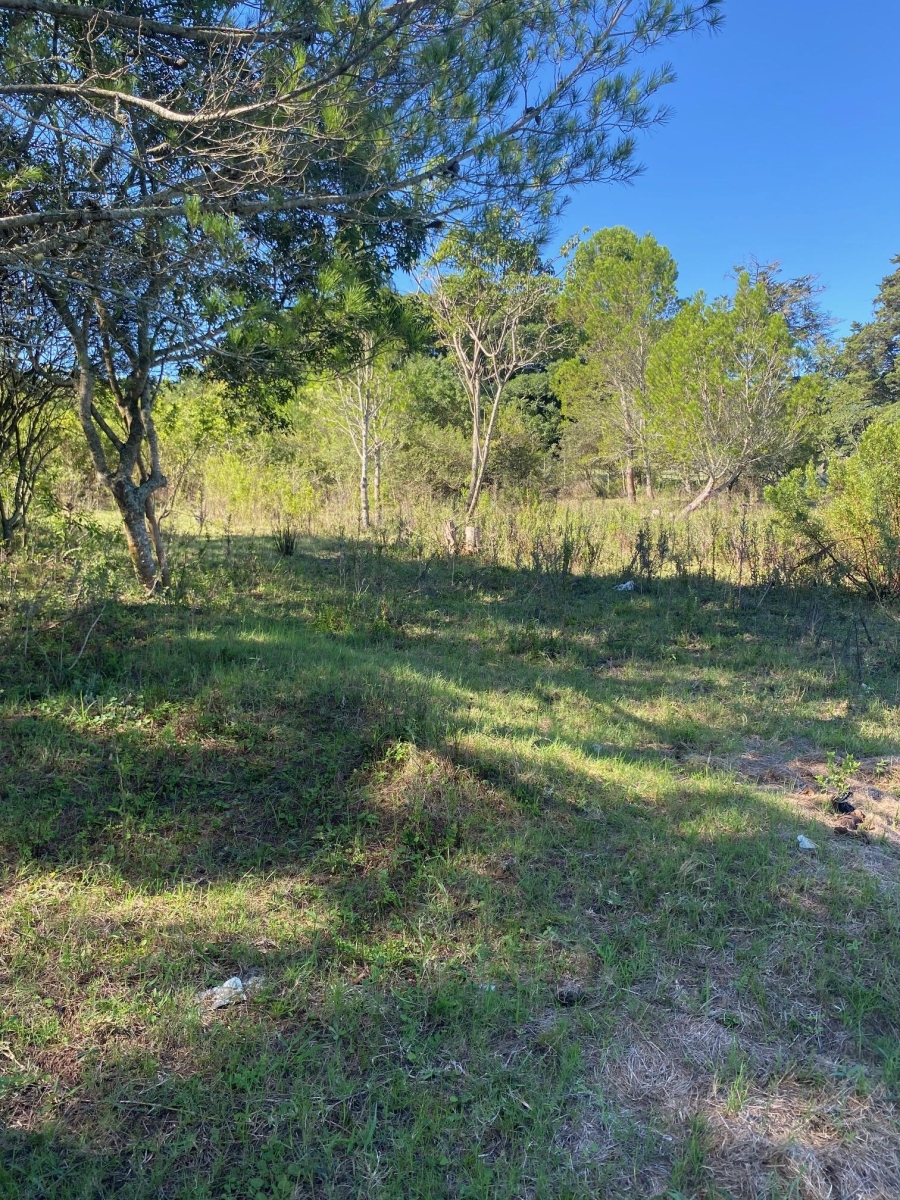 0 Bedroom Property for Sale in Bathurst Eastern Cape